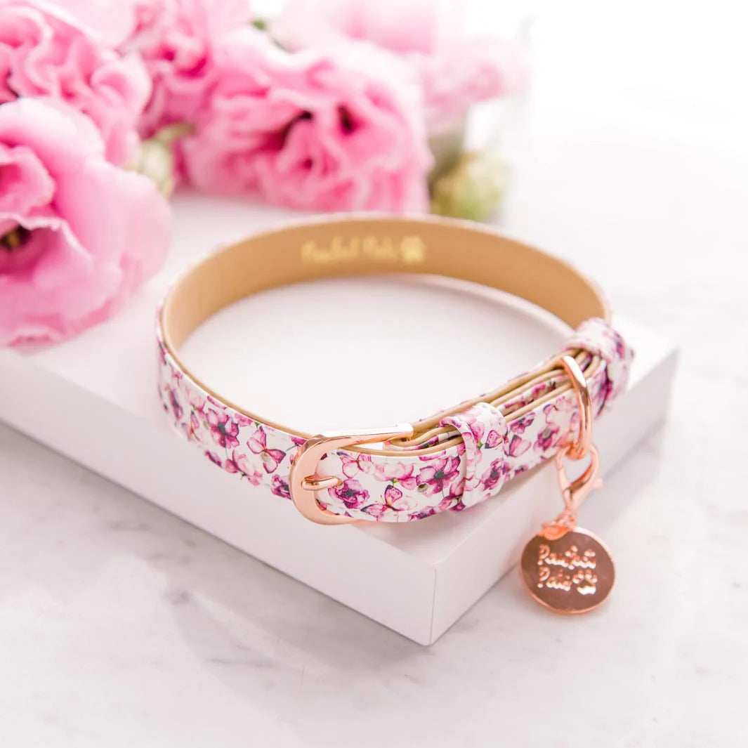 Perfect Pals Butterfly Collar