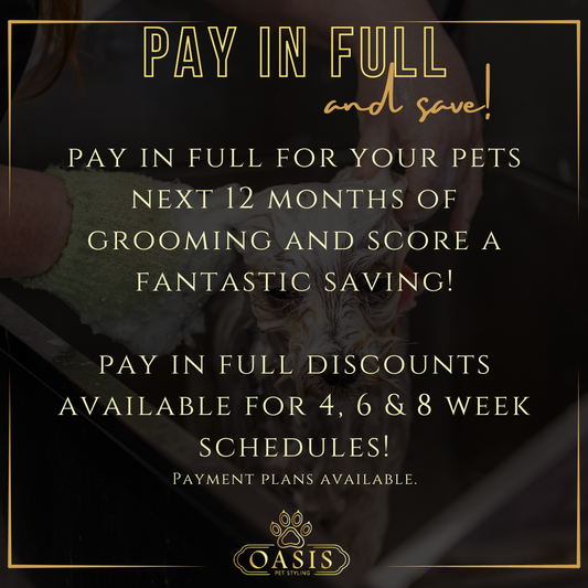 Pay in Full - Haircut dogs