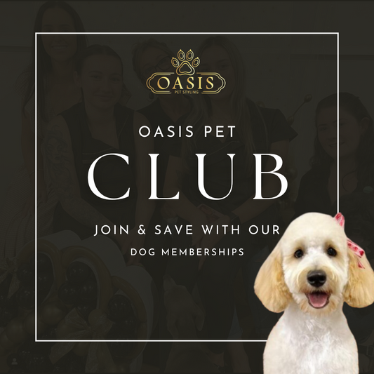 Oasis Pet Club (Dog Grooming Membership)