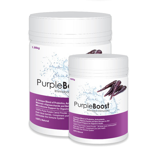 Purple Boost - Immuno-Stimulant with Probiotics and Antioxidants