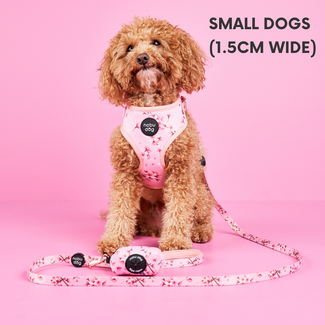 Cherry Blossom Dog Leash • Nobu Dog • Leash