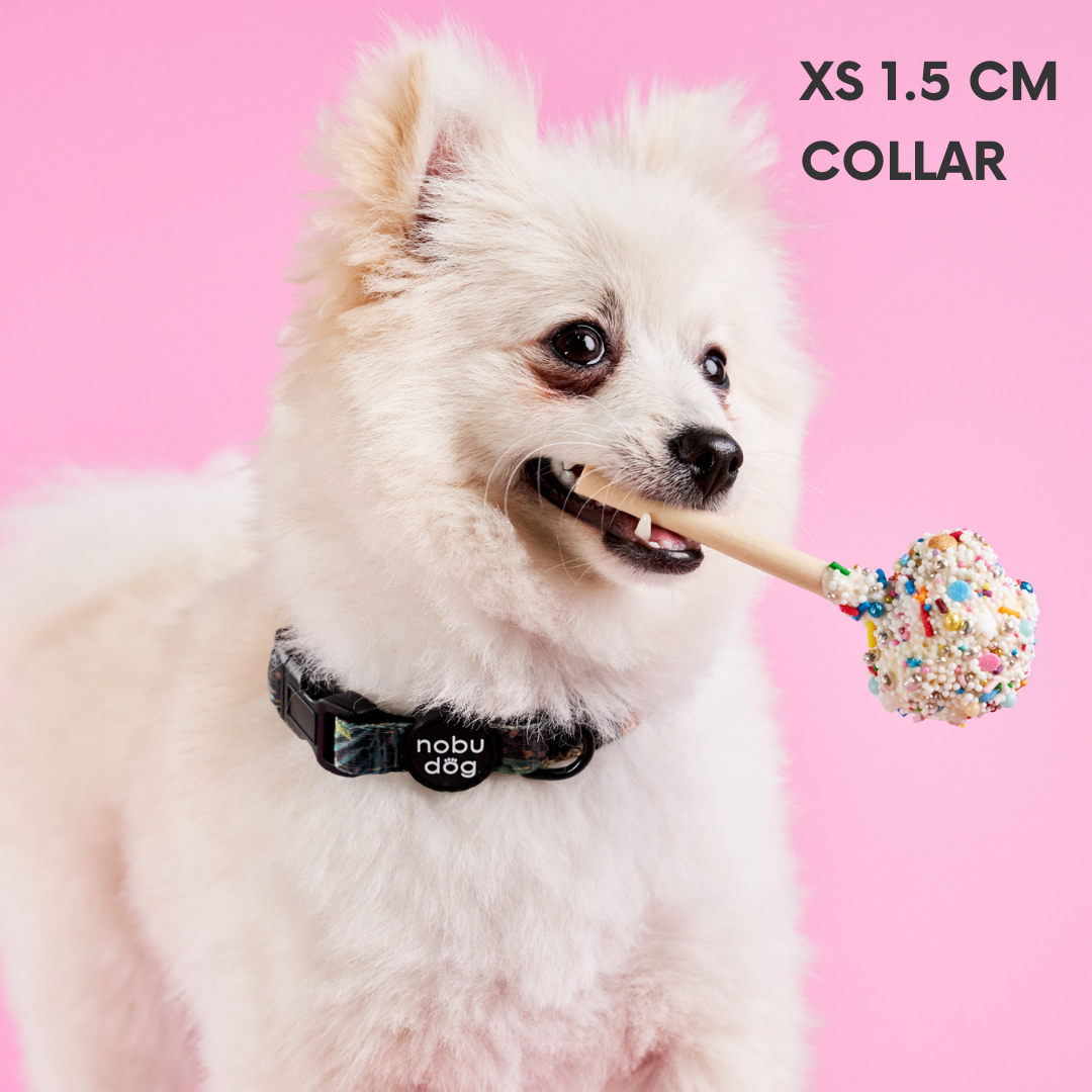 Jungle Leopard Adjustable Dog Collar