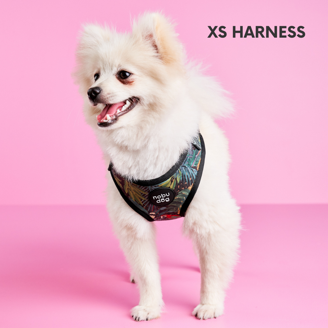 Jungle Leopard Adjustable Dog Harness