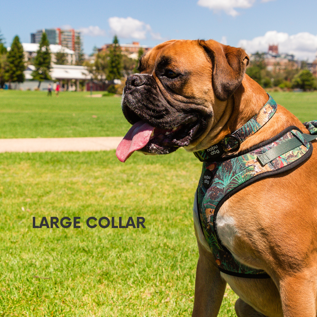 Jungle Leopard Adjustable Dog Collar