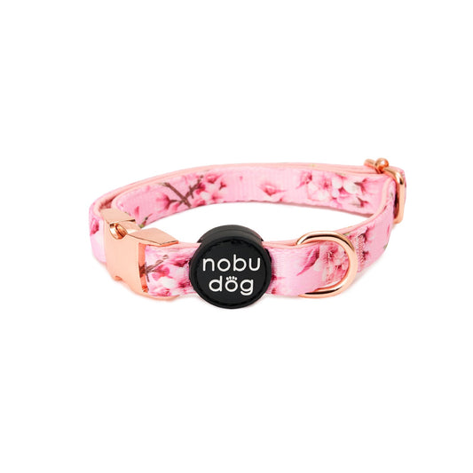 Cherry Blossom Adjustable Dog Collar • Nobu Dog • Collar