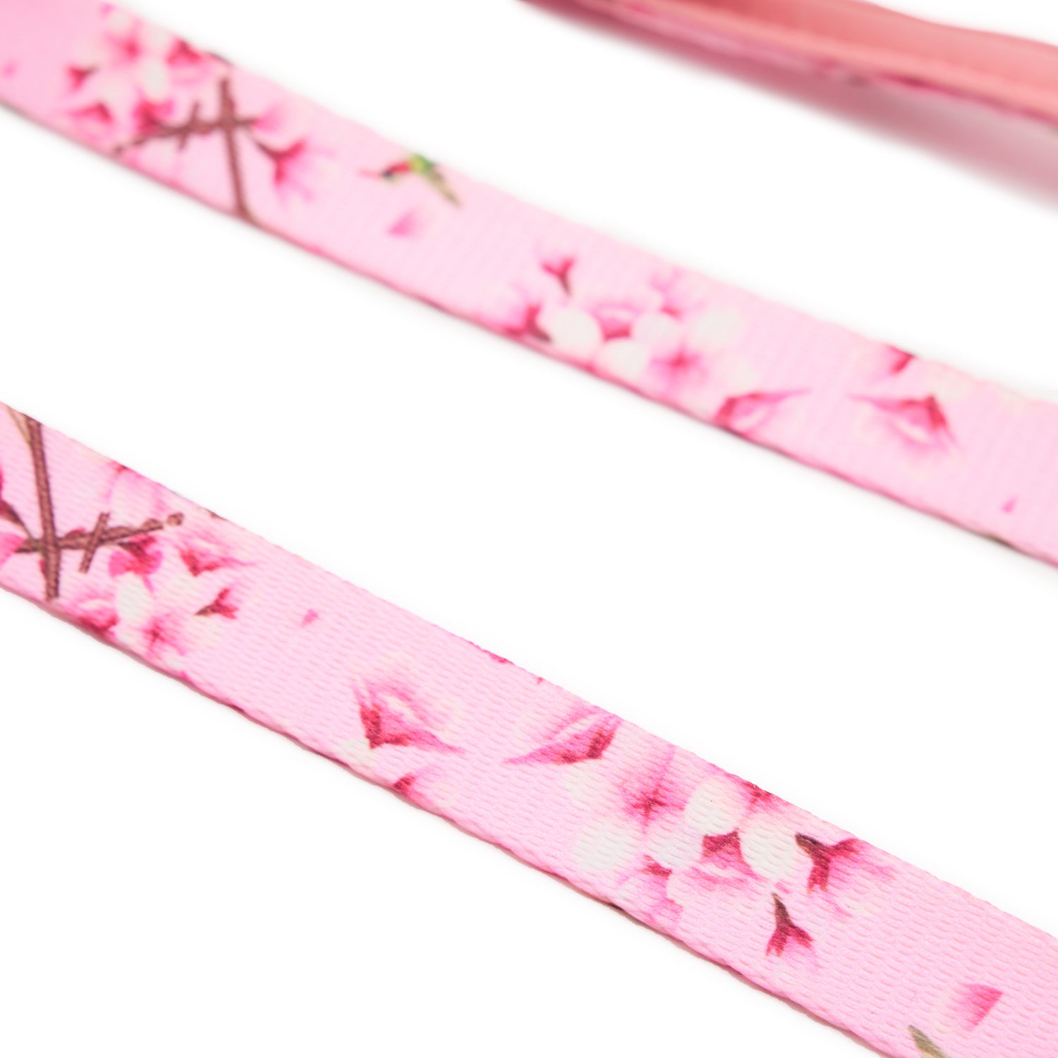 Cherry Blossom Dog Leash • Nobu Dog • Leash