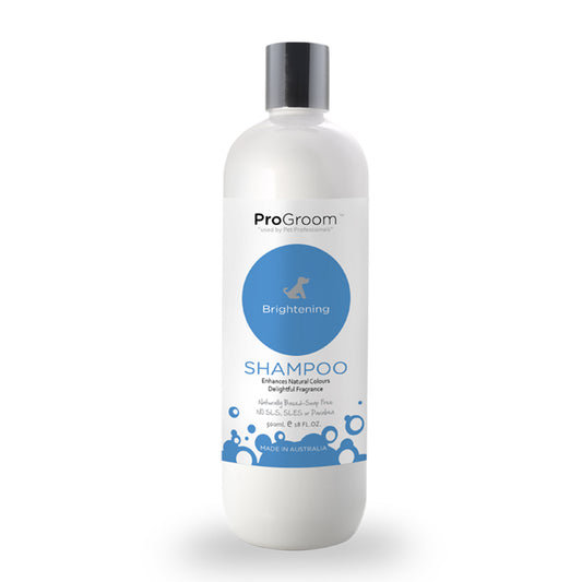 Brightening Shampoo 500ml